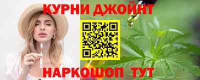 гашик Будённовск